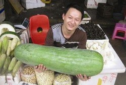 52每日大瓜视频,揭秘娱乐圈幕后故事，带你领略明星真实生活